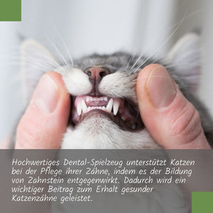 Katzen-Zahnpflege-Spielzeug "Federkugel" | Katzenspielzeug mit Silvervine (Matatabi)