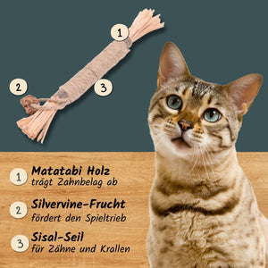 Katzen-Zahnpflege-Spielzeug "Rolle" | Katzenspielzeug mit Silvervine (Matatabi)