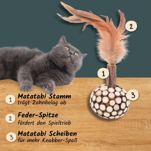 Katzen-Zahnpflege-Spielzeug "Federkugel" | Katzenspielzeug mit Silvervine