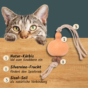 Katzen-Zahnpflege-Spielzeug "Kürbis" | Katzenspielzeug mit Silvervine