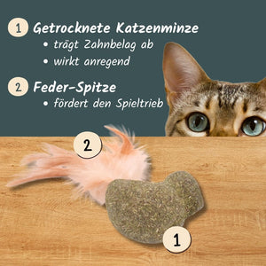 Katzen-Zahnpflege-Spielzeug "Vögelchen" (2er-Set) | Katzenspielzeug mit Silvervine (Matatabi) & Katzenminze