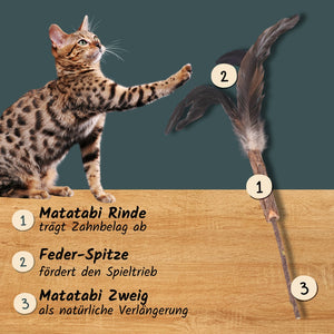 Katzen-Zahnpflege-Spielzeug "Wedel" | Katzenspielzeug mit Silvervine (Matatabi)