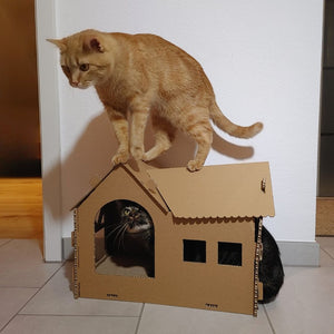 Knuddel die Katz' Katzenhaus "Fridolin's Finca" | Katzenhaus aus Karton/Pappe zum Schlafen, Spielen, Verstecken & Kratzen