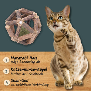 Katzen-Zahnpflege-Spielzeug "Spielball" | Katzenspielzeug mit Silvervine (Matatabi) & Katzenminze