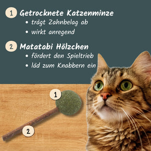 Katzen-Zahnpflege-Spielzeug "Lollis" (2er-Set) | Katzenspielzeug mit Silvervine (Matatabi) & Katzenminze