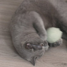 Laden und Abspielen von Videos im Galerie-Viewer, Natürliche Wollfilzkugel | Katzenspielball zum Befüllen mit Katzenminze
