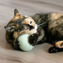 Lade das Bild in den Galerie-Viewer, Natürliche Wollfilzkugel | Katzenspielball zum Befüllen mit Katzenminze
